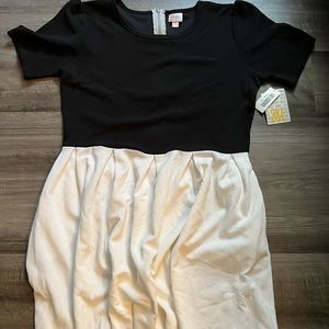 Women Black & White 3xl Amelia Dress